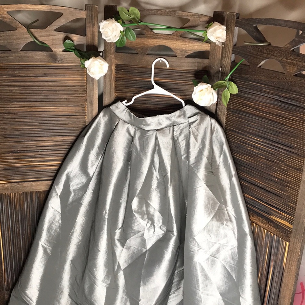 Silver photo shoot skirt